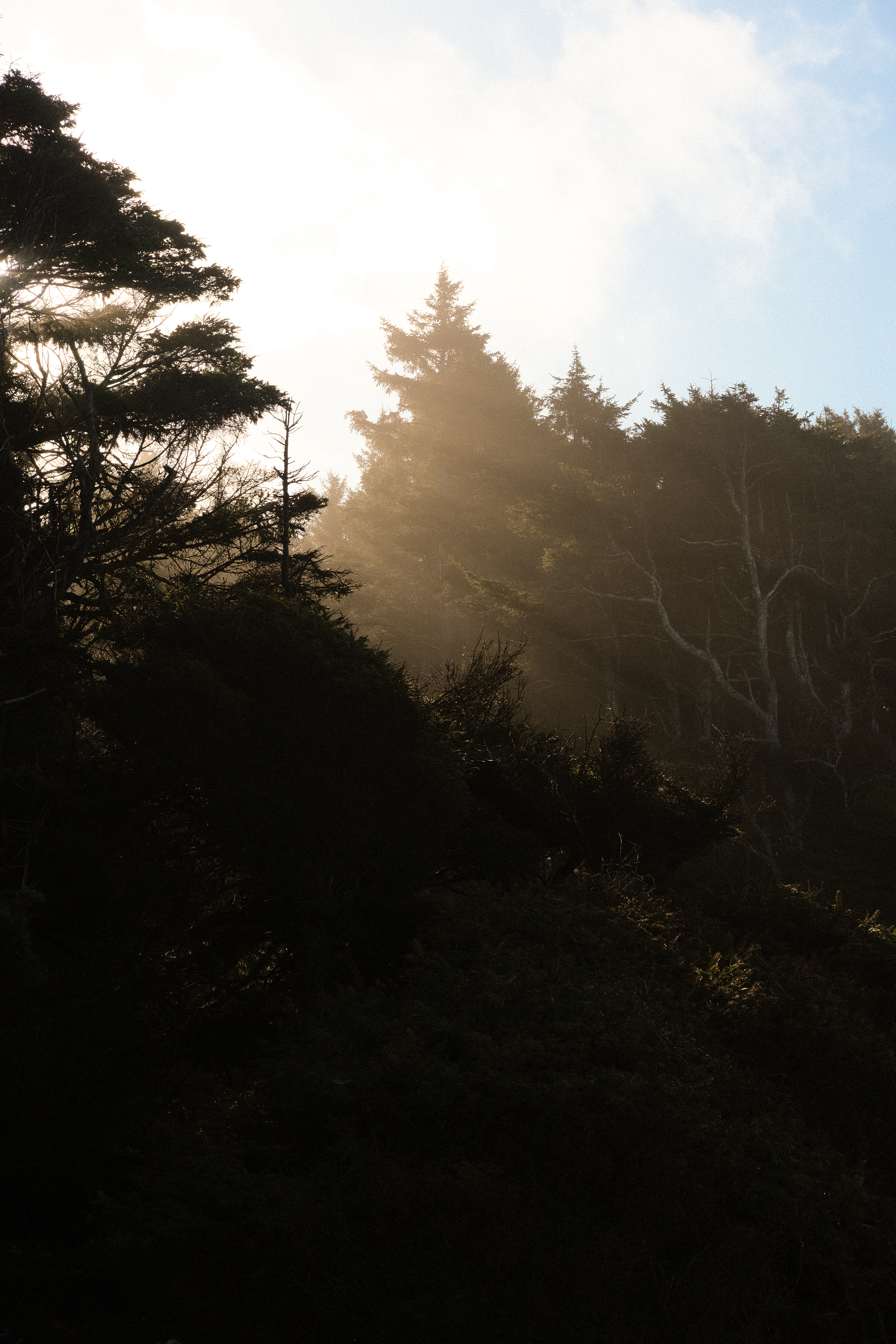 Olympic National Park