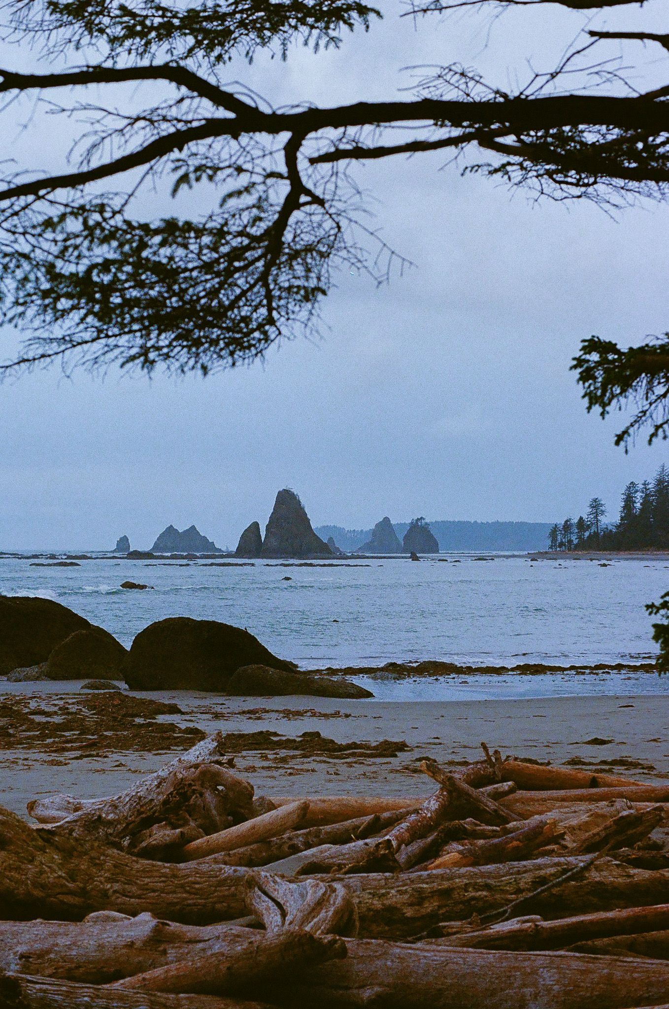 Olympic National Park