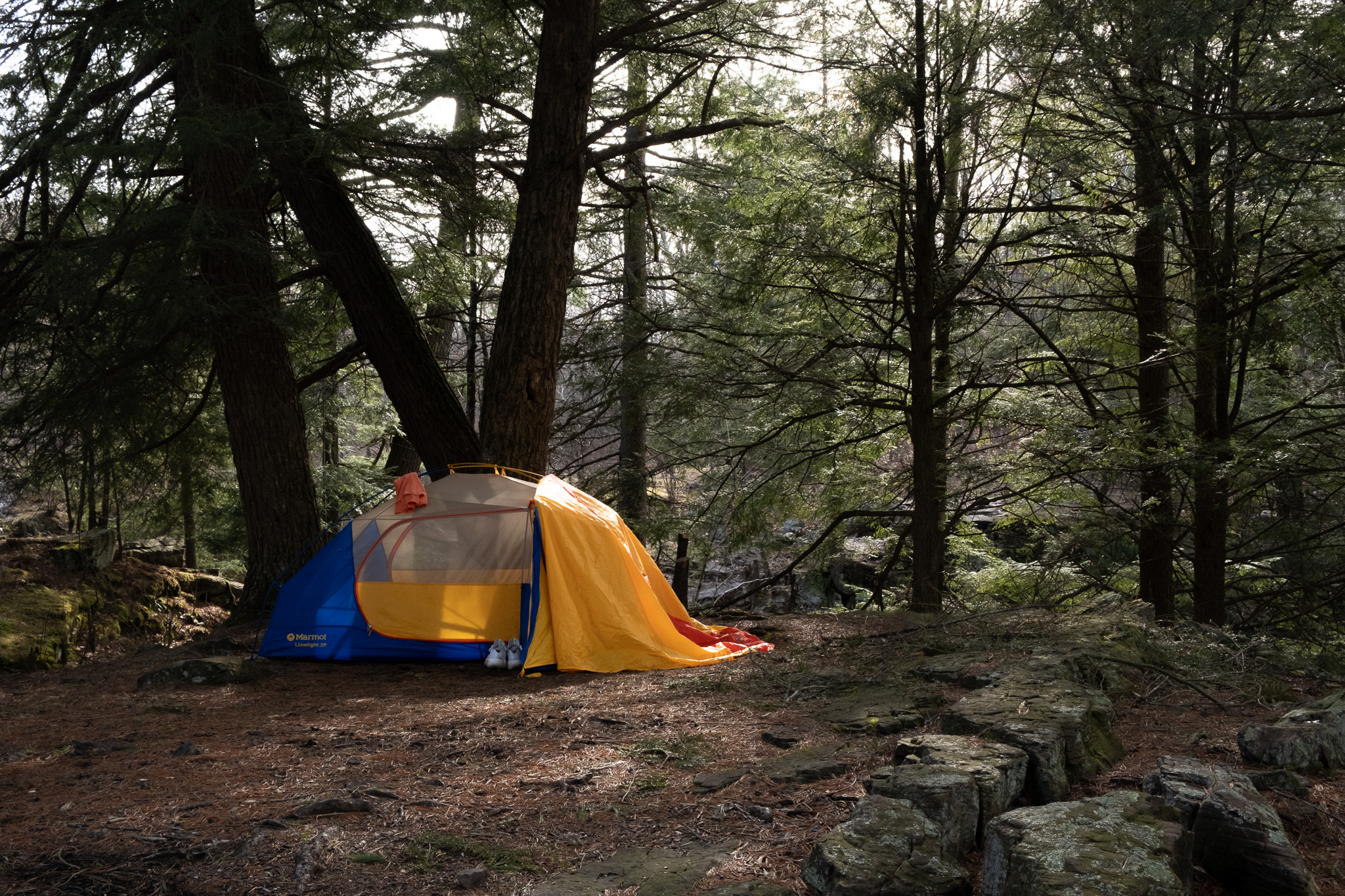 Pinchot State Forest Camping